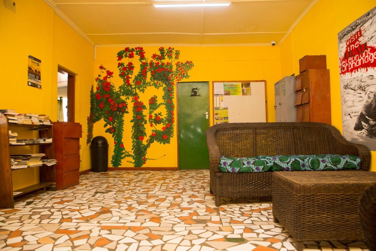 Хостел Lusaka Backpackers Экстерьер фото
